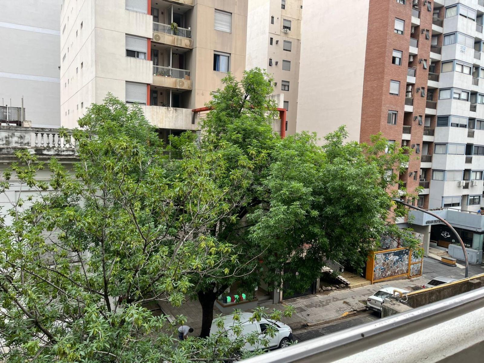 Raiz -